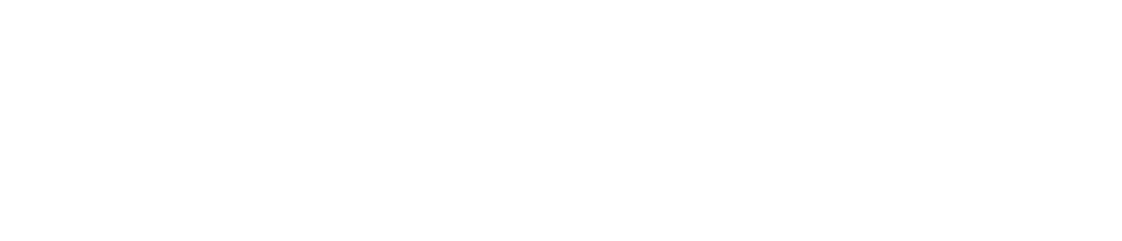 NN_Logo-1