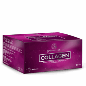 NN_COLLAGEN_SASE